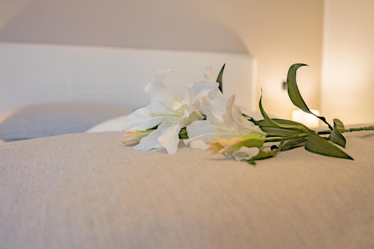 Milan Forum Camelia Guesthouse Assago Εξωτερικό φωτογραφία